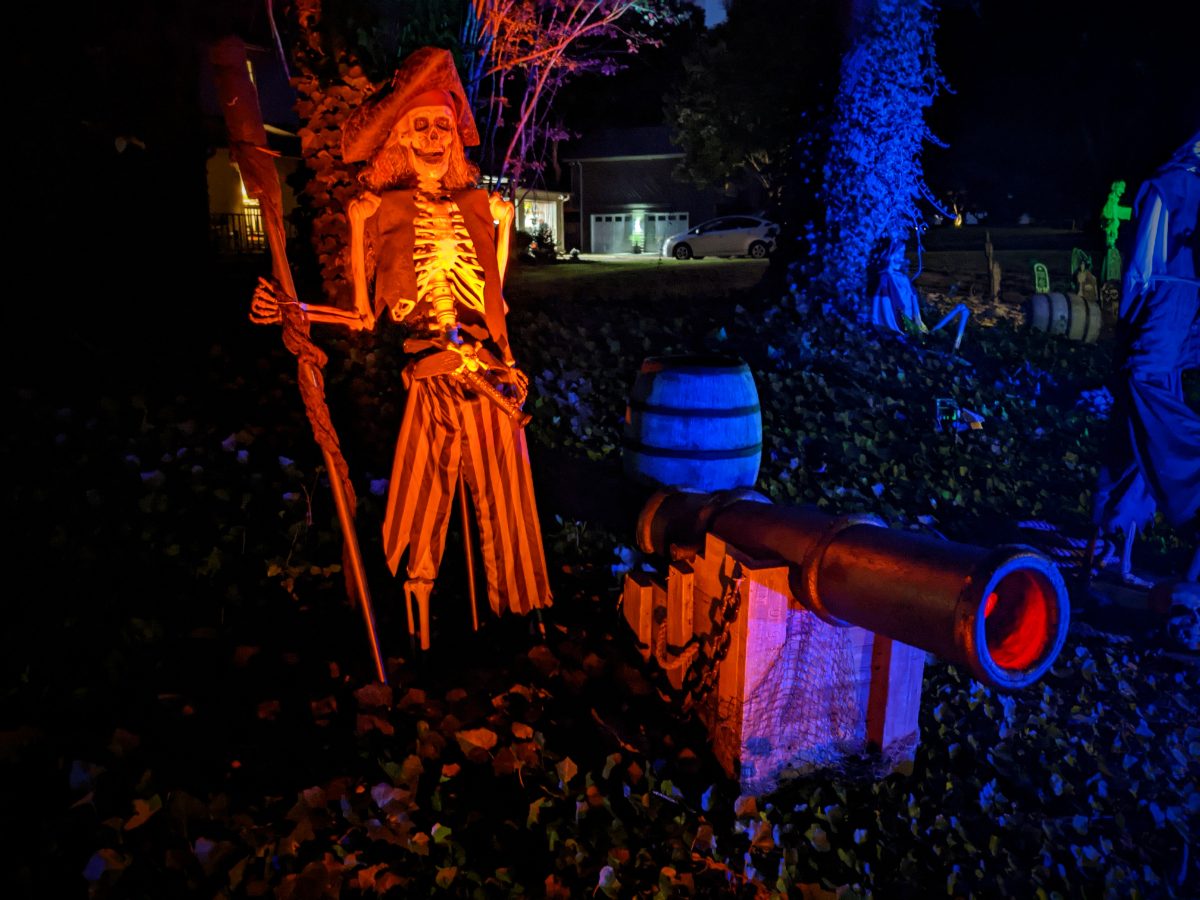 Skeleton pirate in a tricorn hat beside a cannon